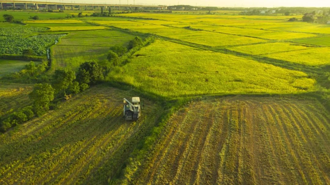 ʢ������(�й���)���ٷ���վ