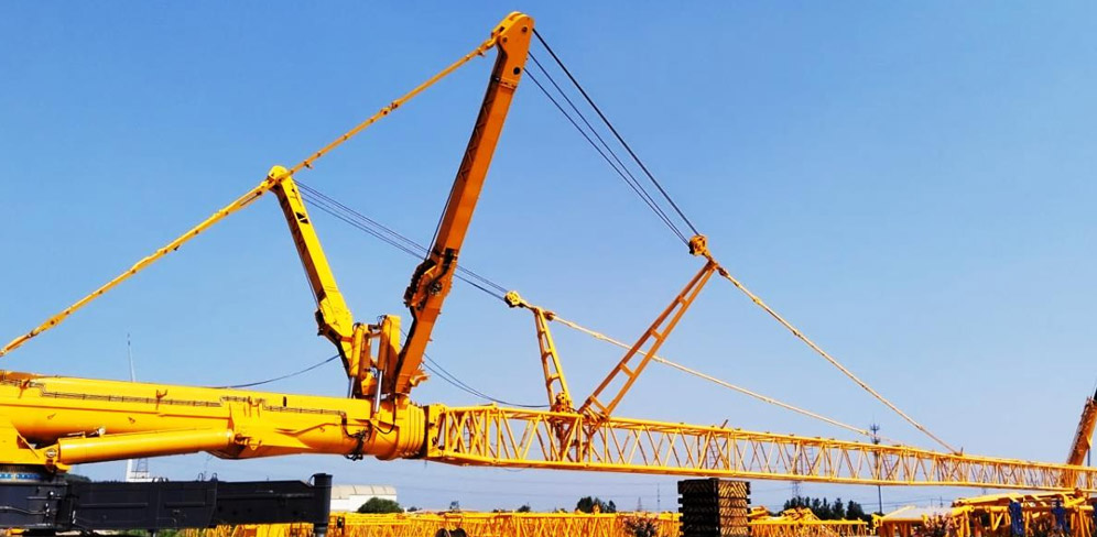 ����徲��������