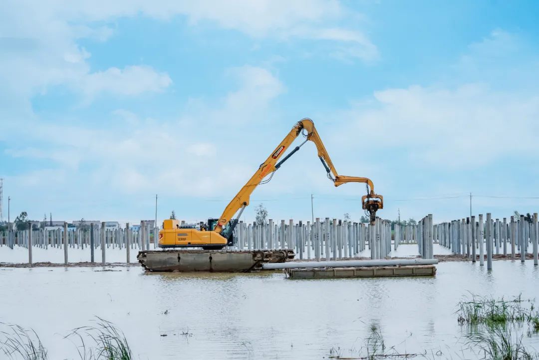 盛煌娱乐(中国游)·官方网站
